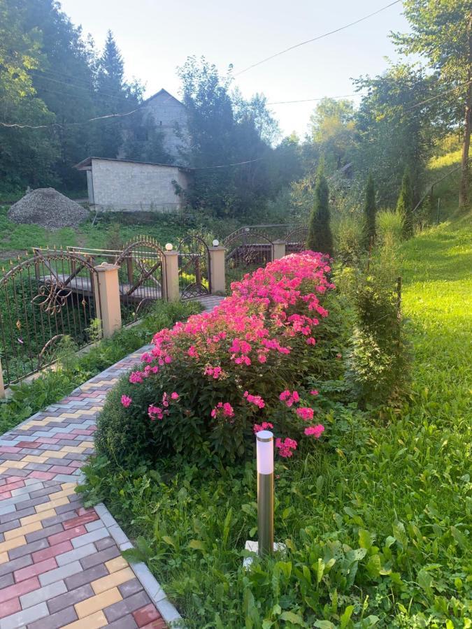 Cottage house Podobovets Ngoại thất bức ảnh