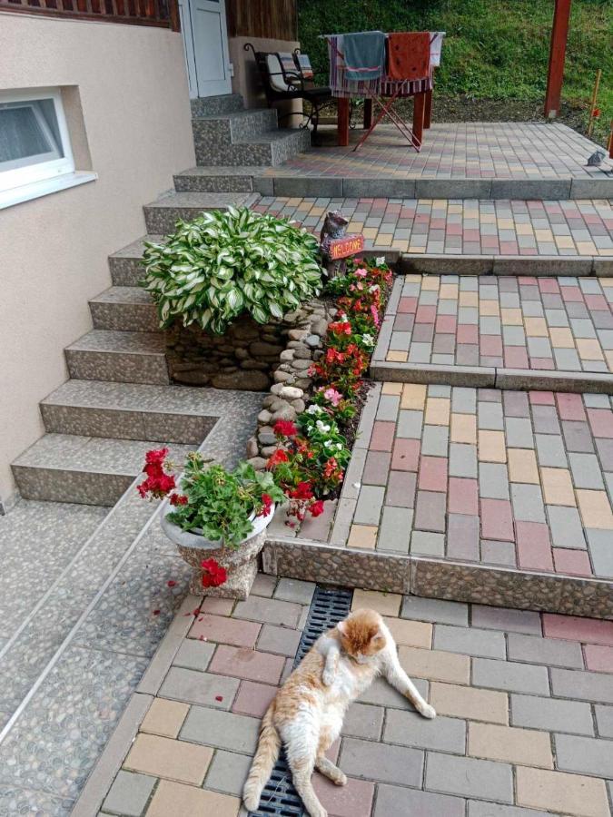 Cottage house Podobovets Ngoại thất bức ảnh